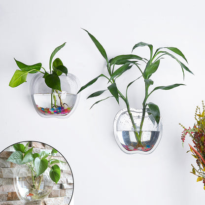Wall Planter for Home Decor