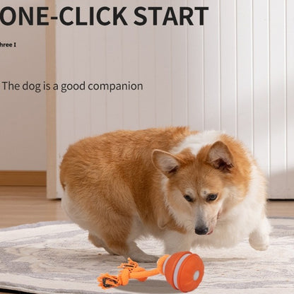 Juguete interactivo para mascotas con forma de bola rodante, recargable por USB